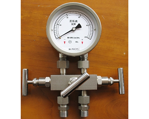 亳州差压表带三阀组